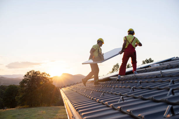 Best Roof Moss and Algae Removal  in Kaaawa, HI