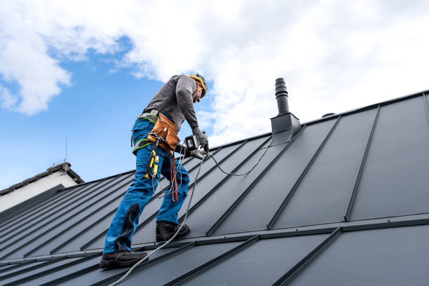 Best Asphalt Shingle Roofing  in Kaaawa, HI